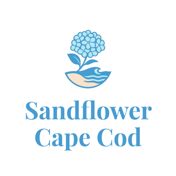 Sandflower Cape Cod